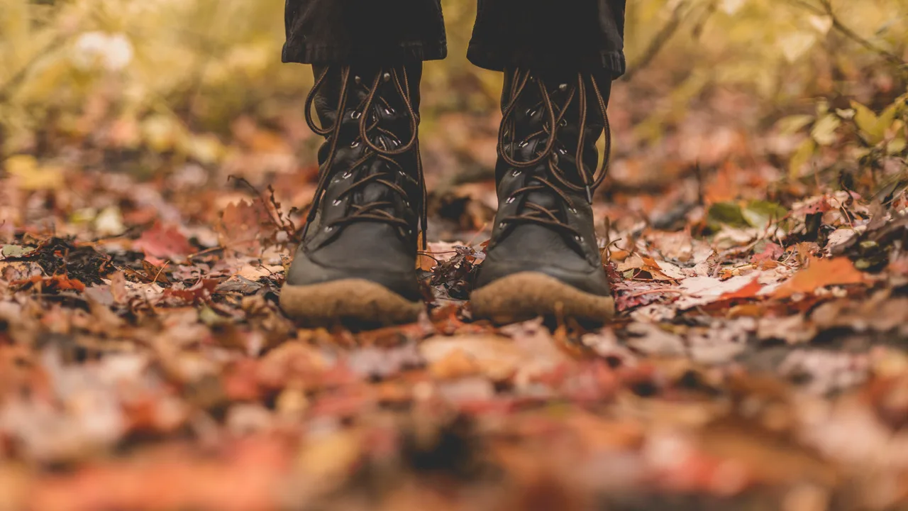 სავალდებულო სამხედრო სამსახური: გადავადება და გათავისუფლება